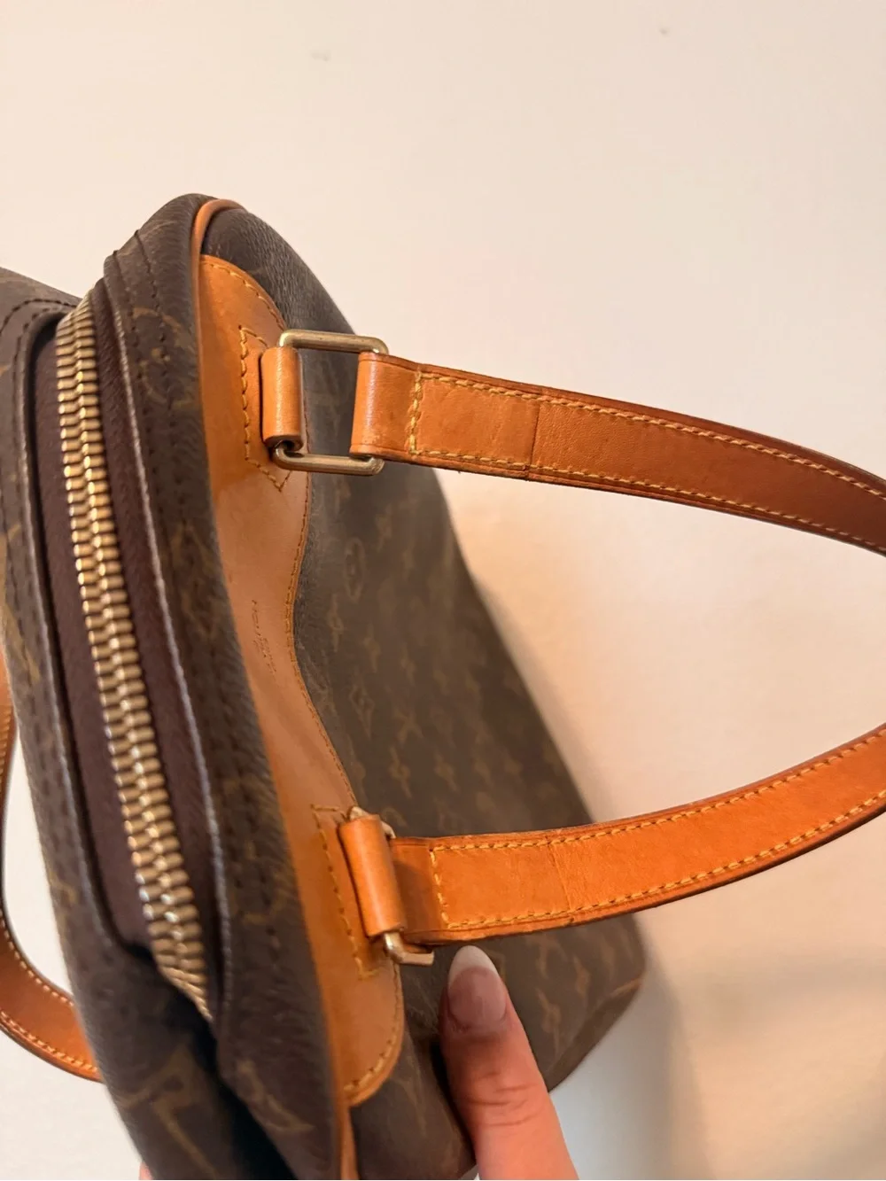 Louis Vuitton Monogram Excursion Shoe Bag